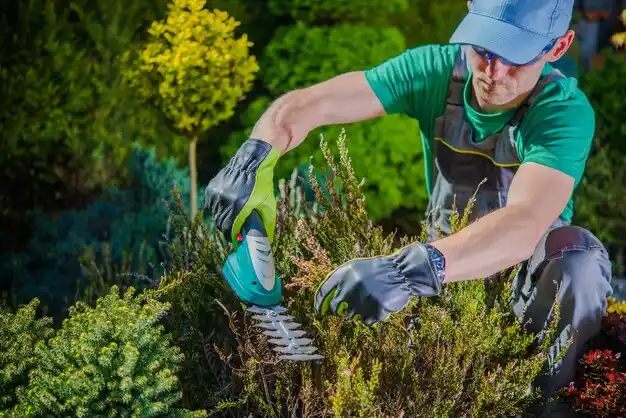 landscaping services Shiloh